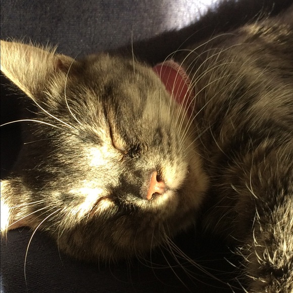 Meet your Posher, Manon - Picture 1 of 1